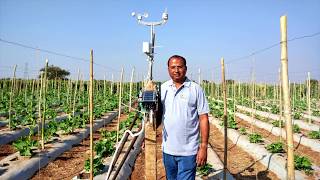 Fasal Installation at Bhupendras Bottle Gourd Farm in CG [upl. by Cookie]