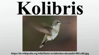 Kolibris [upl. by Meikah]