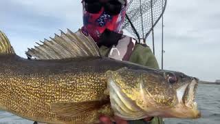 The Most EPIC amp AMAZING Day of WALLEYE Fishing EVER Door County [upl. by Washburn]