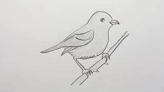 how to draw a bird easy Bird drawing tutorial drawing for beginners [upl. by Anifad]