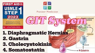 Hernias Gastrin CCK Somatostatin from first aid step 1part 10USMLEUrduHindi [upl. by Spooner]