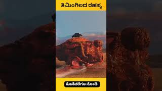 Whale explode facts kannada facts factsinkannada [upl. by Nerrual459]