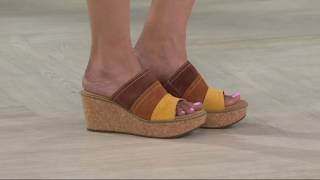 Clarks Artisan Nubuck Leather Wedge Sandals  Aisley Lily on QVC [upl. by Enahs357]