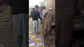 Charsadda chawal viralvideo food youtube streetfood travel [upl. by Cacka362]