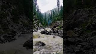 Pakistan Tallest Waterfall in Swat region egzon nature incrediblepakistan travel mountains fyp [upl. by Amirak]