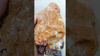 gemstone huntingRockhounding 15 kilos agatized petrified wood and beautiful jasper agate found [upl. by Rosalia]