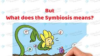 Symbiotic Association between the roots of Leguminous plants and Rhizobium bacteria [upl. by Hsekin]