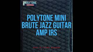 POLYTONE MINI BRUTE JAZZ GUITAR AMP IRS OFF ON DEMO [upl. by Reywas]