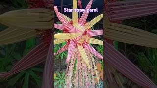 Star straw paroldiy art recyclecraftchristmasdiycrafts star [upl. by Nilya]