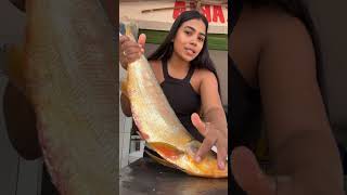 Vejam o peixe que tem mais espinhas [upl. by Settle]