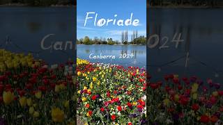 Floriade 2024  Australias Biggest Celebration of Spring floriade flowers canberra australia [upl. by Ihskaneem947]