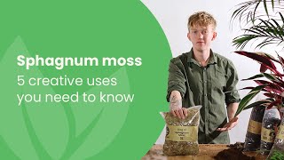 Sphagnum Moss 5 Creative Uses You NEED To Know [upl. by Cichocki]