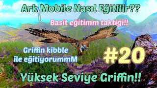 Ark Mobile Nasıl Eğitilir 20 Yüksek Seviye Griffin Griffin Maması İle Eğittim [upl. by Mosnar493]