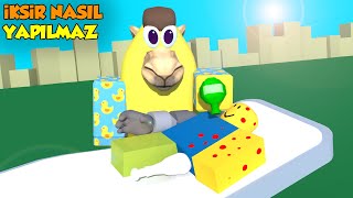 🧪 Büyücü Oluyoruz 💉  Wacky Wizards  Roblox Türkçe [upl. by Obadias]