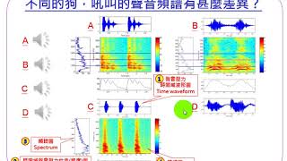 138 不同的狗，吼叫的聲音頻譜有甚麼差異？537 [upl. by Leventis]