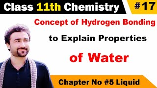 Concept of hydrogen bonding to explain properties of water class 11 [upl. by Goldarina]