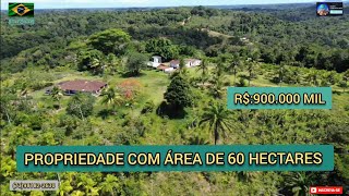 Sítio a venda60 hectares em Ilhéus na Bahia IMAGENS AÉREA R900000 MIL [upl. by Amato422]