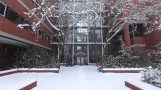 Oregon State University Campus in Snow [upl. by Janet]