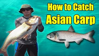 How to Catch Asian Carp  Four Fun Fishing Methods [upl. by Annmaria]