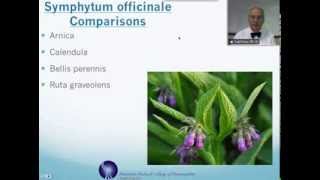 Symphytum officinale Homeopathic Medicine Tips For Beginners [upl. by Seiuqram]