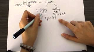 Concept mapping  linking the audit topics together [upl. by Abas33]