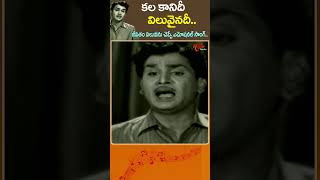 కల కానిదీ విలువైనదీKala Kanidi Viluvainadi Song  Velugu Needalu Movie ANR shorts Youtubeshorts [upl. by Irol]