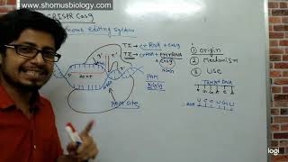 Crispr cas9 gene editing explained [upl. by Schild]