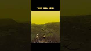 Venus Planet amazingfacts spacefact astronomy planet space nasa science spacex shorts [upl. by Ettennat14]