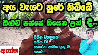 2024 budget taxranil wickramasinghe and sri lankan people ATTHA VLOGS [upl. by Eissat]