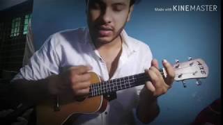 আমার ভিনদেশী তারা ★ Amar Vindeshi Tara  ukulele cover [upl. by Yrian]