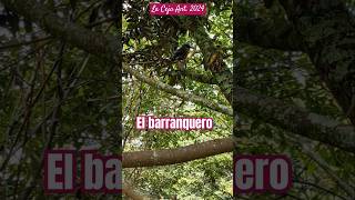 El Barranquero [upl. by Elik]