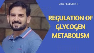 Regulation of Glycogen  Glycogen Regulation in liver amp Muscle Hormonal Regulation of Glycogen [upl. by Danielson]