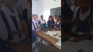 Project based learning in classroom activity viralvideo education teacher [upl. by Spoor]