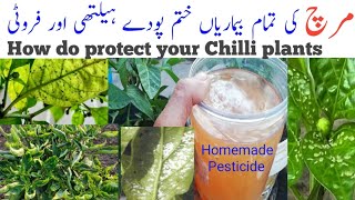 How do you protect Chilli plants  Pest on Chilli plants  Chilli pest control Homemade Pesticide [upl. by Dadinirt]