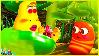 LARVA SEASON 1 EPISODE BABY LARVA 2 🍟 NEST VERSION LARVA 2024  MINI SERIES FROM ANIMATION LARVA [upl. by Cressler854]