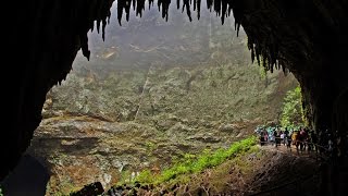 Explorando Nuestra Isla  Cavernas del Río Camuy [upl. by Ahseym]