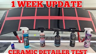 Whats The Best Ceramic Detailer  First Wash  Adams v Chemical Guys v NV v PampS v Platinum Potions [upl. by Kcirdnekel20]