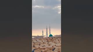 Jannat ul baki 🥰 Madina Sharif 🥰 jannatulbaqi madina makka muhammadﷺ islamic subscribe [upl. by Olympie]