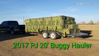 2017 PJ 20 Buggy Hauler [upl. by Stickney]