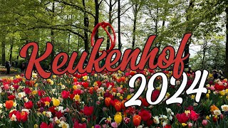 Wonders of The Netherlands  KEUKENHOF  4K Walking Travel Video 🇳🇱 [upl. by Yanahc]