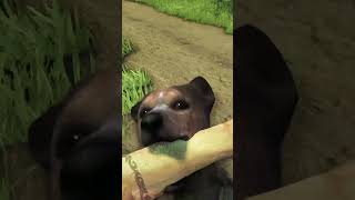 Killing Rabies Dogs in Far Cry 3 shorts [upl. by Nirred]