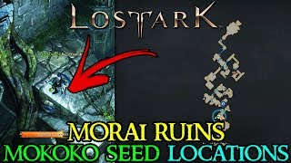 LOST ARK  MORAI RUINS ALL MOKOKO SEED LOCATIONS [upl. by Carolus]