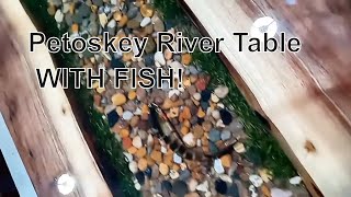 Petoskey River Table Build Diy resin epoxy howtoresin diy [upl. by Esenahs92]