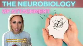 The neurobiology of attachment [upl. by Ydak]