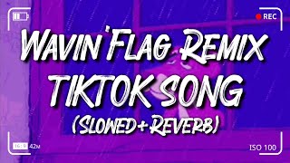 WavinFlag SlowedReverb RemixDj Tiktok Song [upl. by Rowney240]