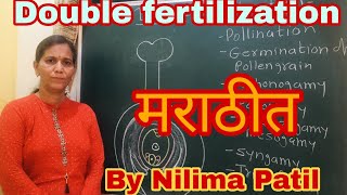 12thch1Double fertilization in angiosperms in Marathi [upl. by Maffei]