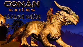 Day 21  Trying To Become A Mage  The Savage Wilds Map mod  Conan Exiles [upl. by Poppo871]