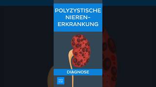 Polyzystische Nierenerkrankung PKD Diagnose  Kenhub shorts [upl. by Divod695]