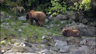 A Week Aboard the Safari Explorer in Alaska [upl. by Daugherty507]