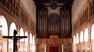 Cathedral Organ with 32 Contra Bombarde  St Anastasia Cathedral  Paul Fey Organist [upl. by Jueta227]